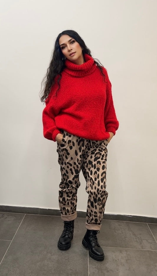 Ary Rollkragenpullover